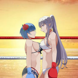 This is a pixiv picture whose title is Rem vs Emilia.