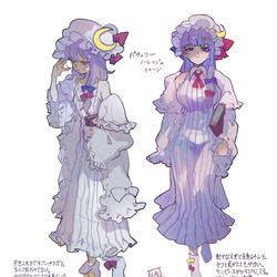 This is a pixiv picture whose title is パチュリーのイメージ.