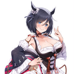 This is a pixiv picture whose title is エイシンフラッシュ誕生日.
