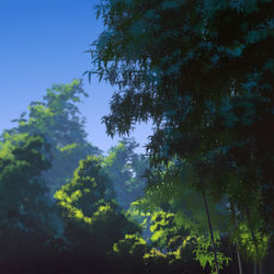 This is a pixiv picture whose title is 无题.