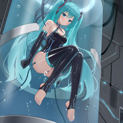 This is a pixiv picture whose title is 初音ミクの検修.