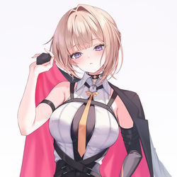This is a pixiv picture whose title is イヴリン.