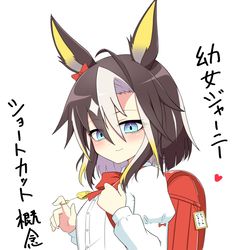 This is a pixiv picture whose title is ショートカットロリジャ概念.