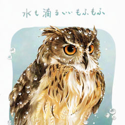 This is a pixiv picture whose title is 「びちょびちょのフクロウ」.