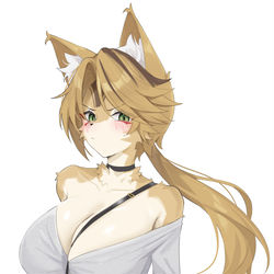 This is a pixiv picture whose title is プルクラ・フェリーニ.