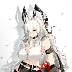 This is a pixiv picture whose title is Zani.