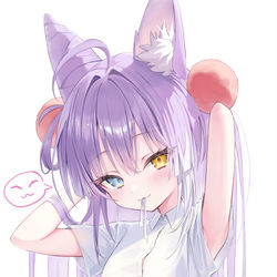 This is a pixiv picture whose title is Shibuki.
