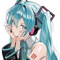 This is a pixiv picture whose title is Miku.