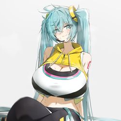 This is a pixiv picture whose title is Gym Miku.