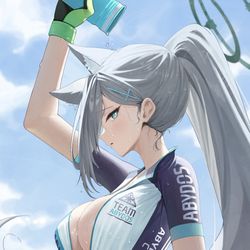 This is a pixiv picture whose title is シロコテラー（ライディング）.