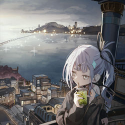 This is a pixiv picture whose title is Twilight.