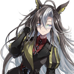 This is a pixiv picture whose title is 姉上.