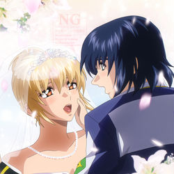 This is a pixiv picture whose title is 種＆種自由ログ15.