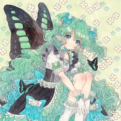 This is a pixiv picture whose title is アオスジアゲハの妖精.