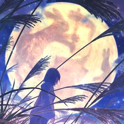 This is a pixiv picture whose title is 今夜は名月を見上げて.
