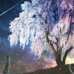 This is a pixiv picture whose title is 星と桜が降る夜に.