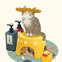 This is a pixiv picture whose title is シャンプーハット🧴🐈.