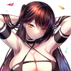 This is a pixiv picture whose title is 瑞鶴.