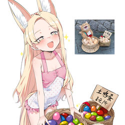This is a pixiv picture whose title is Seia and eggs.