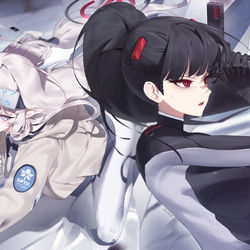 This is a pixiv picture whose title is Millennium.