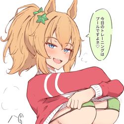 This is a pixiv picture whose title is たいき.