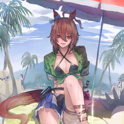 This is a pixiv picture whose title is 夏オン.