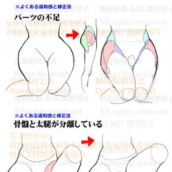 This is a pixiv picture whose title is 個人メモ：脚の付け根・骨盤と大腿の繋がり.