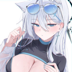 This is a pixiv picture whose title is シロコ.