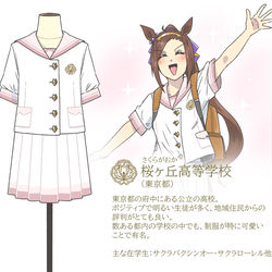 This is a pixiv picture whose title is ウマ娘 勝負服制服概念.