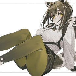This is a pixiv picture whose title is ロビン.