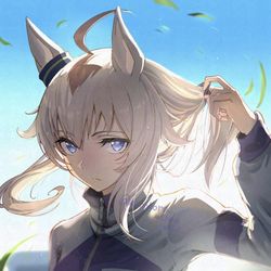 This is a pixiv picture whose title is オグリキャップ.