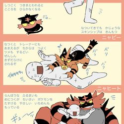 This is a pixiv picture whose title is オンラインのfitぬいの図鑑説明.
