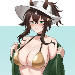 This is a pixiv picture whose title is Meteor Golden bikini.