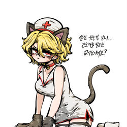 This is a pixiv picture whose title is 고양이 간호사 코스프레 산초.