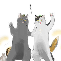 This is a pixiv picture whose title is 詰めが甘いタヌキとキツネ.