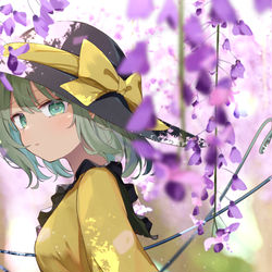 This is a pixiv picture whose title is 5/14はこいしの日.