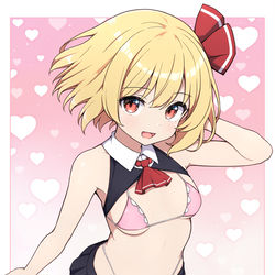 This is a pixiv picture whose title is エロ衣装ルーミア.