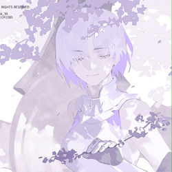 This is a pixiv picture whose title is Shielder Paladin.