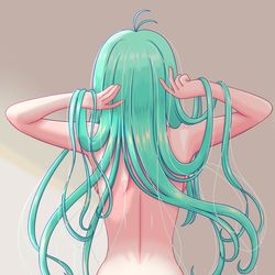 This is a pixiv picture whose title is 早苗さんの背中.