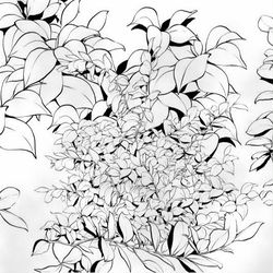 This is a pixiv picture whose title is 白葉ブラシ01.