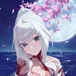 This is a pixiv picture whose title is 姫辰星.