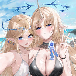 This is a pixiv picture whose title is フルールドリス & カルテジア.