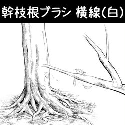 This is a pixiv picture whose title is 幹枝根ブラシ_横線(白).