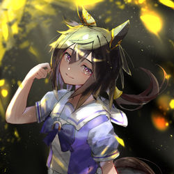 This is a pixiv picture whose title is 祝ステイゴールド発表！.