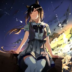 This is a pixiv picture whose title is 黄金の旅路.