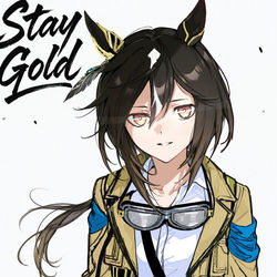 This is a pixiv picture whose title is ステイゴールド.