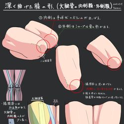 This is a pixiv picture whose title is 曲げた膝の形スタディ.