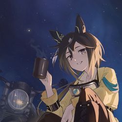 This is a pixiv picture whose title is ステイゴールド.