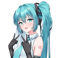 This is a pixiv picture whose title is ✌.