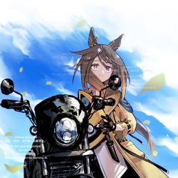 This is a pixiv picture whose title is 【ウマ娘】ステイゴールド.